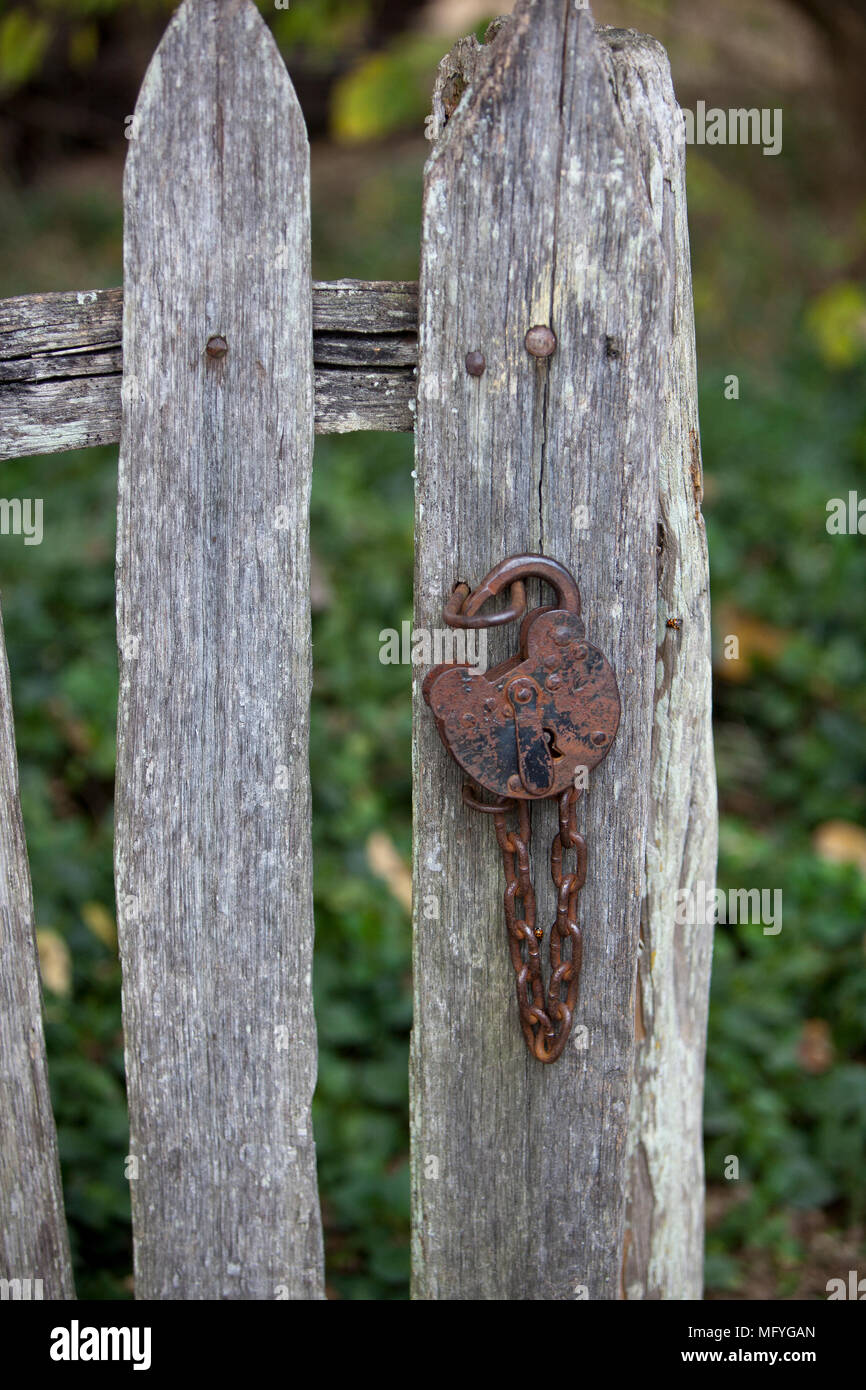 Verrostete antike Hand geschmiedeten Schloss und Kette auf einem abgenutzten Lattenzaun, Colonial Williamsburg Virginia Stockfoto