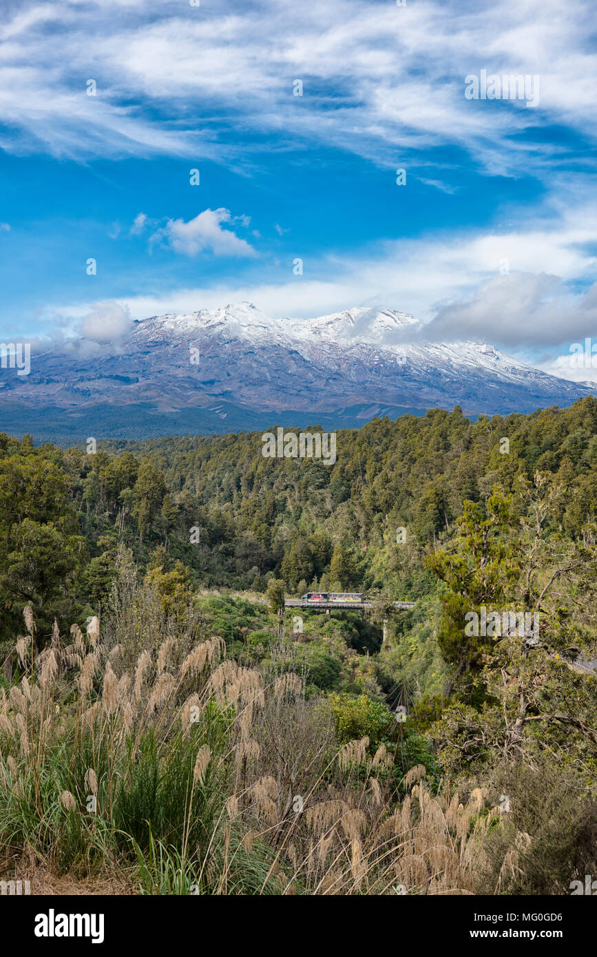 Mt Ruapehu aus Makatote Viadukt. Manawatu - Wanganui, Neuseeland. Stockfoto