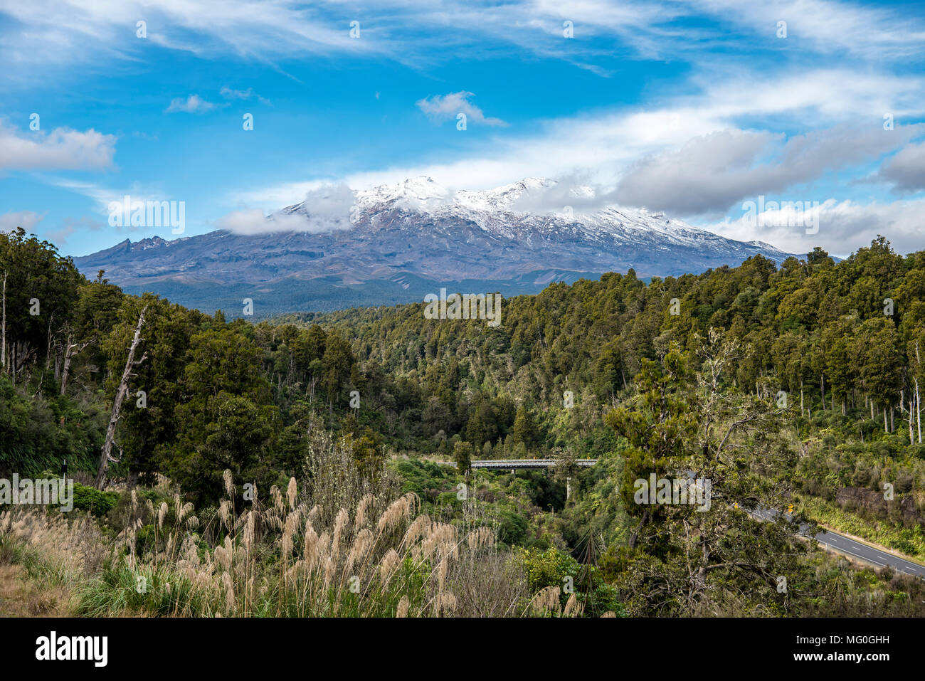 Mt Ruapehu aus Makatote Viadukt. Manawatu - Wanganui, Neuseeland. Stockfoto