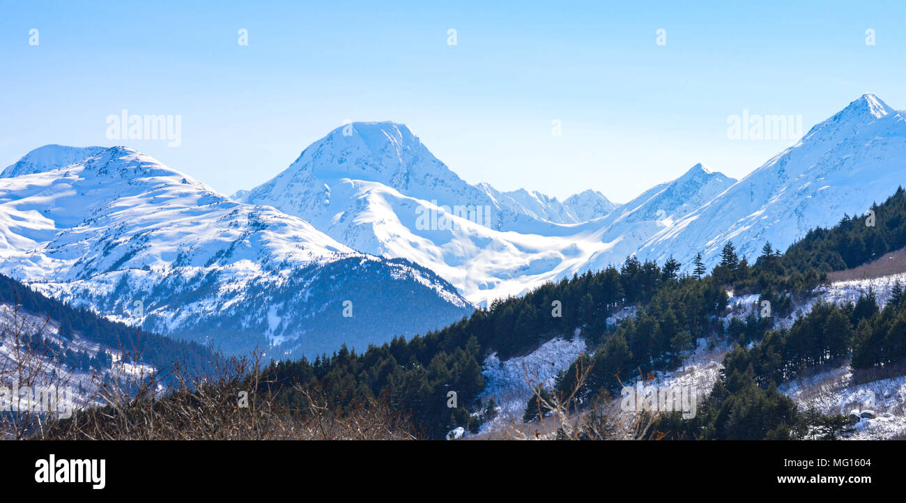 Winterlichen Gipfeln in Alaska Stockfoto