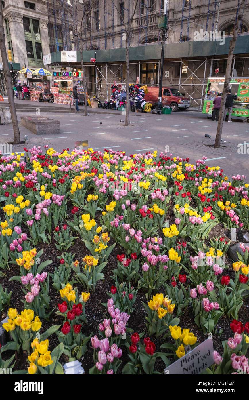 Flower Garden in Lower Manhattan, NY Stockfoto