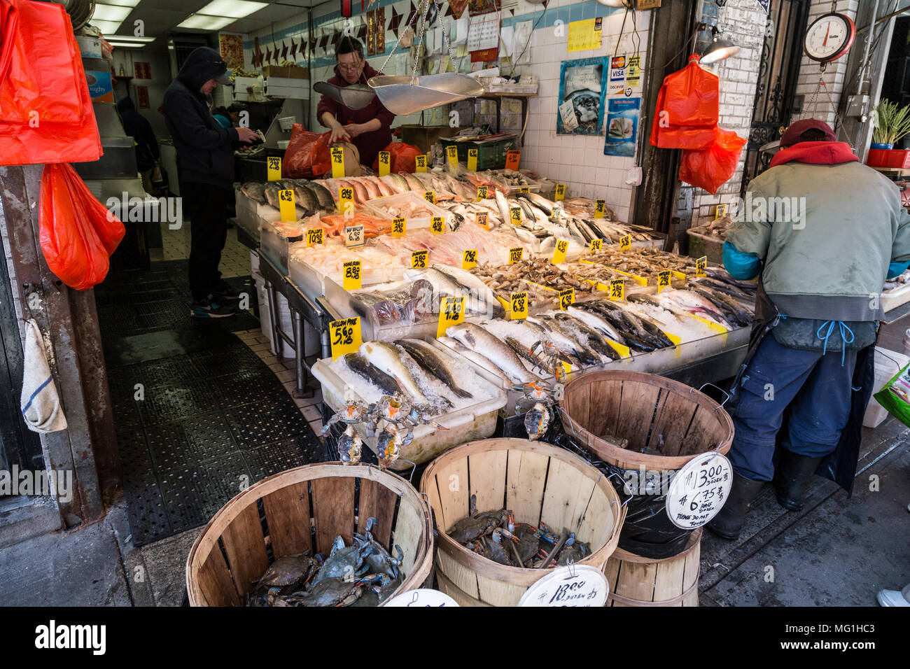 Hai Cang Seafood Market, New York, NY Stockfoto