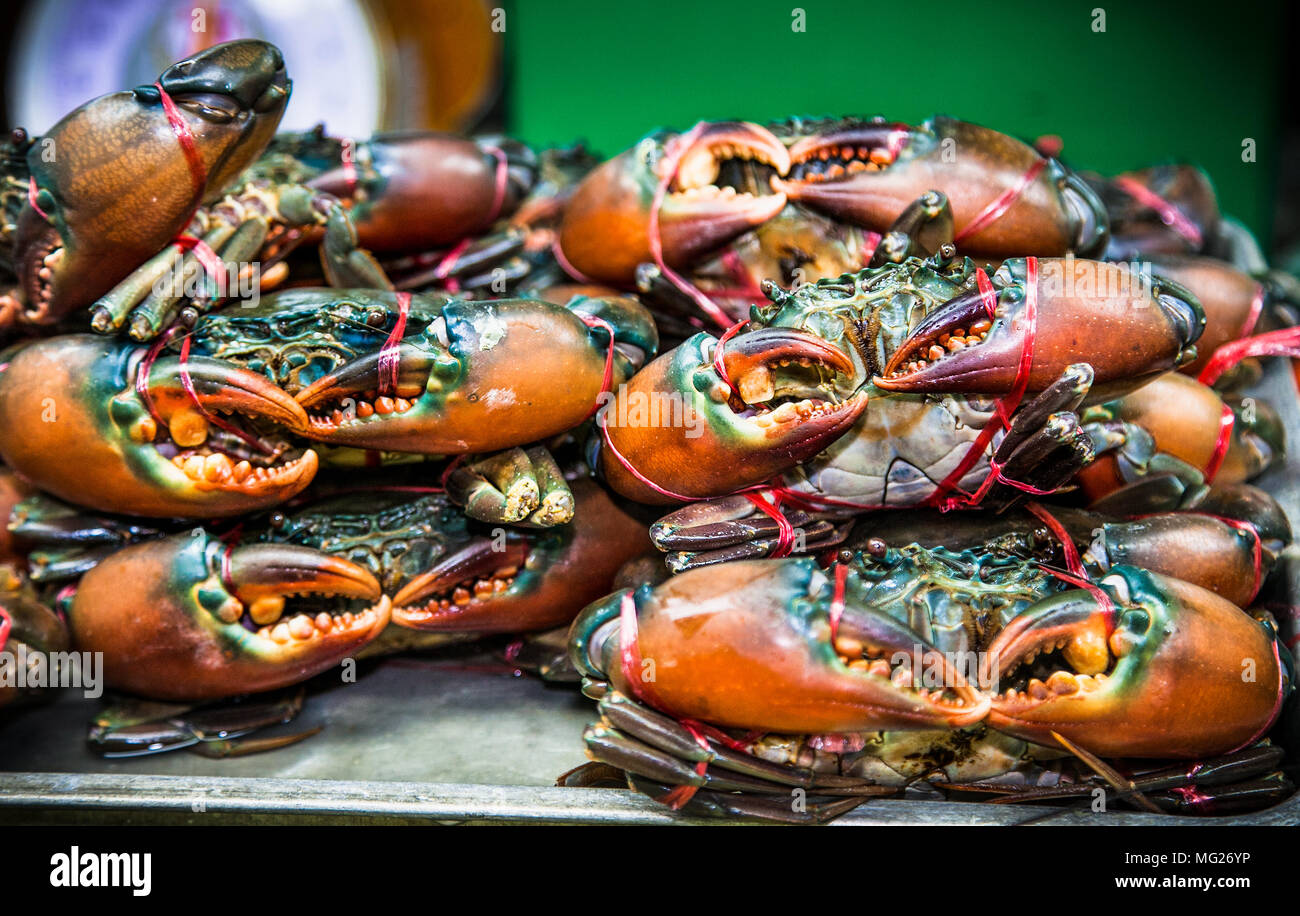 Frischen Hummer, frische Meeresfrüchte Markt Garnelen, Thailand. Stockfoto