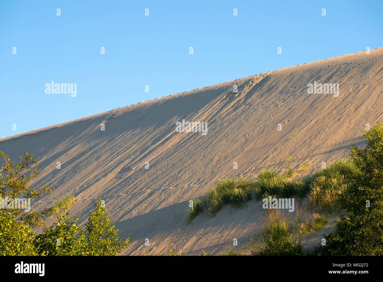 Giant Sand dune im Sommer Abend in Nida, Litauen Stockfoto