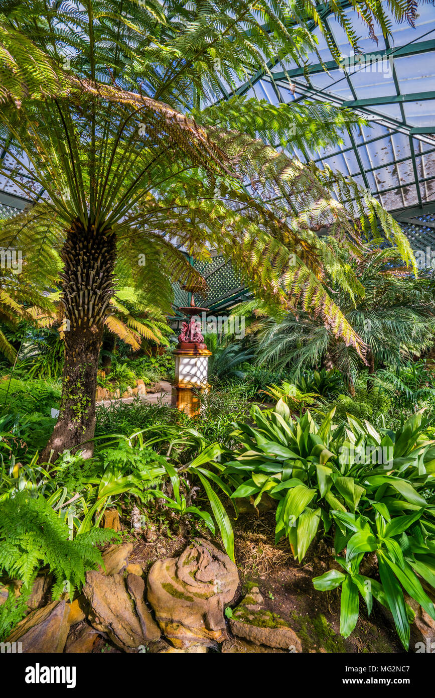 Üppig grüne Anlage Sammlung an der Fernery von Machattie Park Bathurst, einem wunderschönen viktorianischen Landhaus aus dem 19. Jahrhundert Park, Central Tablelands, New South Wal Stockfoto