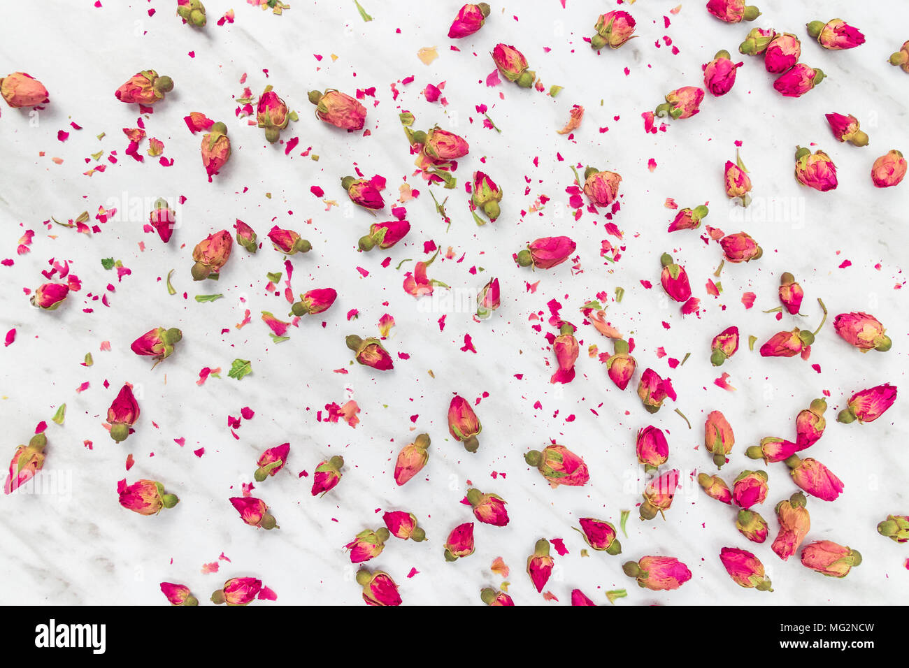 Rose getrocknete Blumen auf hellgrauem Marmor Hintergrund. Stockfoto