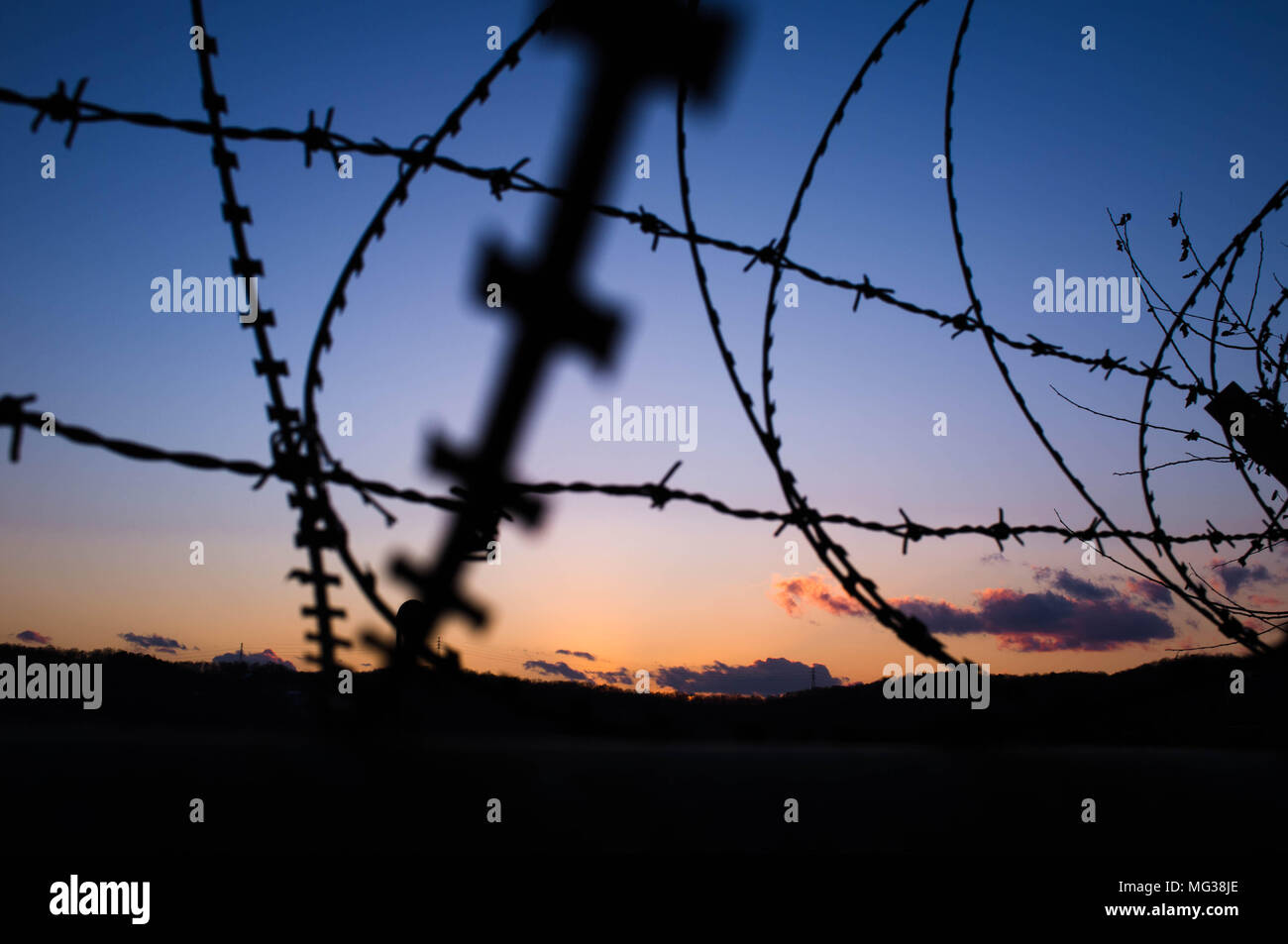 Stacheldraht auf einem Zaun auf der Koreanischen Seite der entmilitarisierten Zone zwischen Nord- und Südkorea. Stockfoto