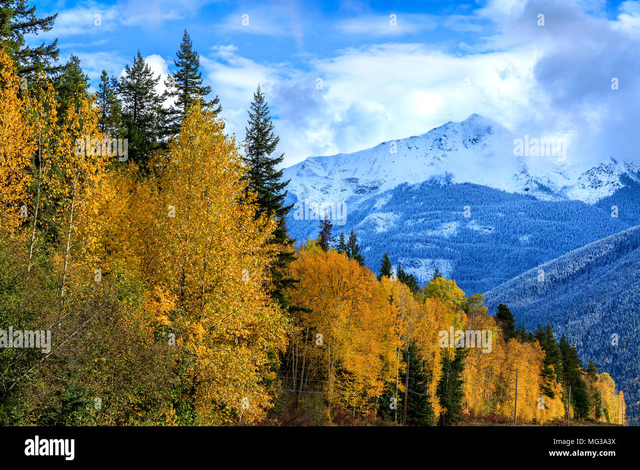 Herbstfarben, Rearguard Falls Provincial Park, BC, Kanada Stockfoto