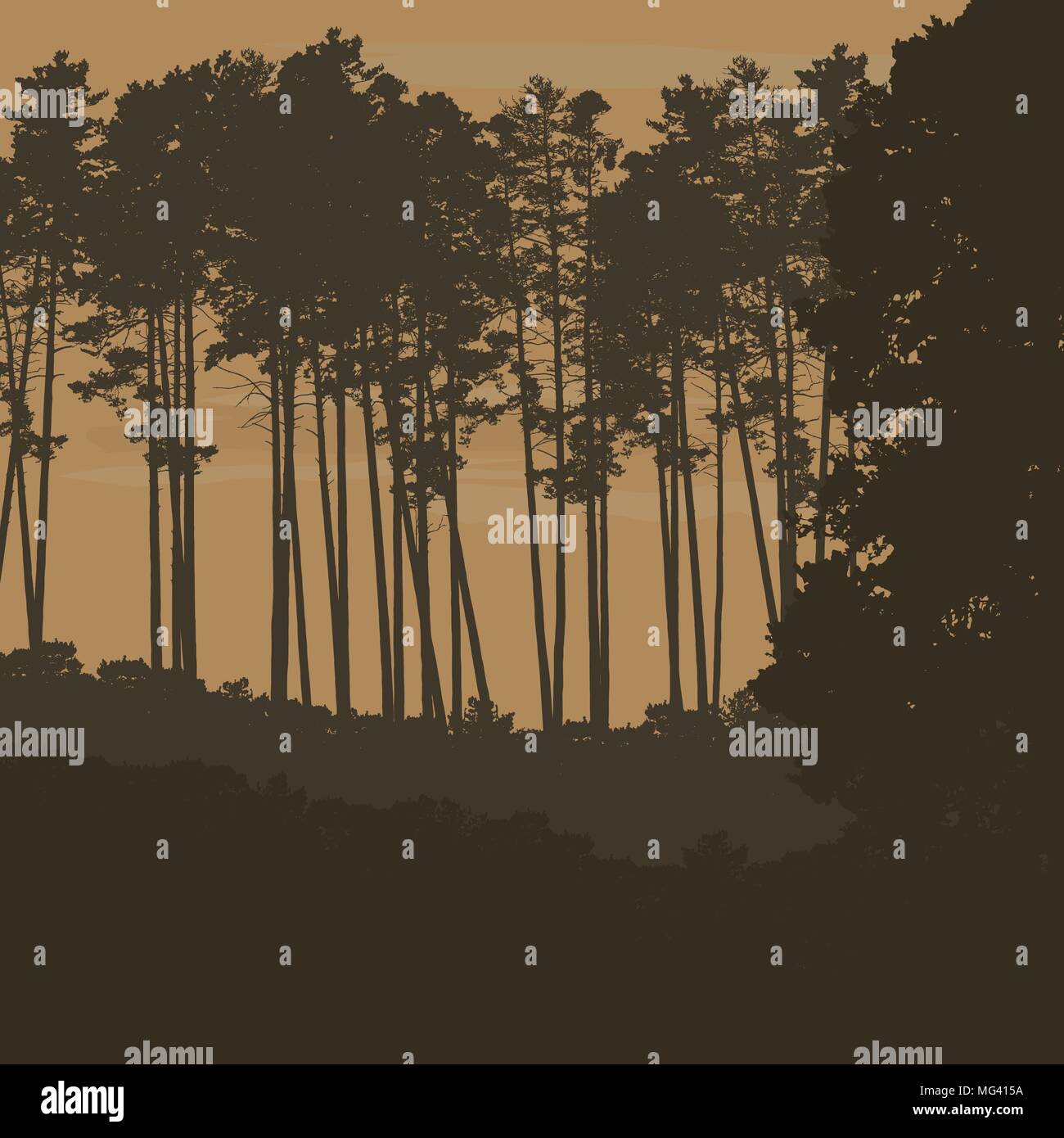 Vector Illustration von Nadelwald mit hohen Bäumen unterhalb einer orange Himmel mit Wolken - mit Platz für Ihren Text Stock Vektor