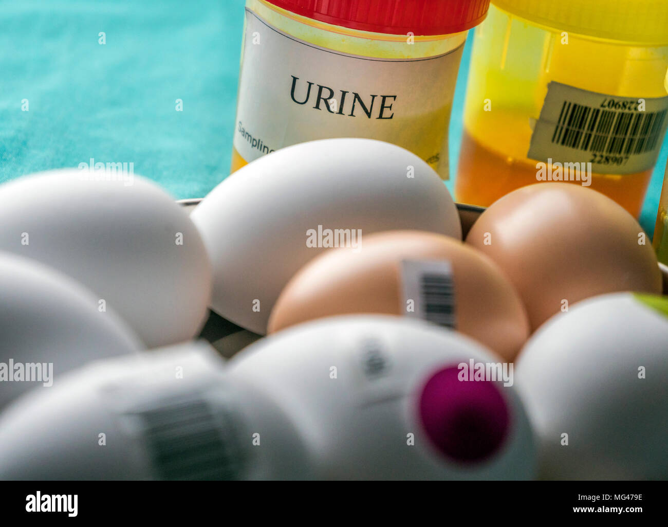 Wissenschaftler im Labor untersucht die Krise, die durch den Betrug des kontaminierten Eier mit Fipronil verursacht Stockfoto