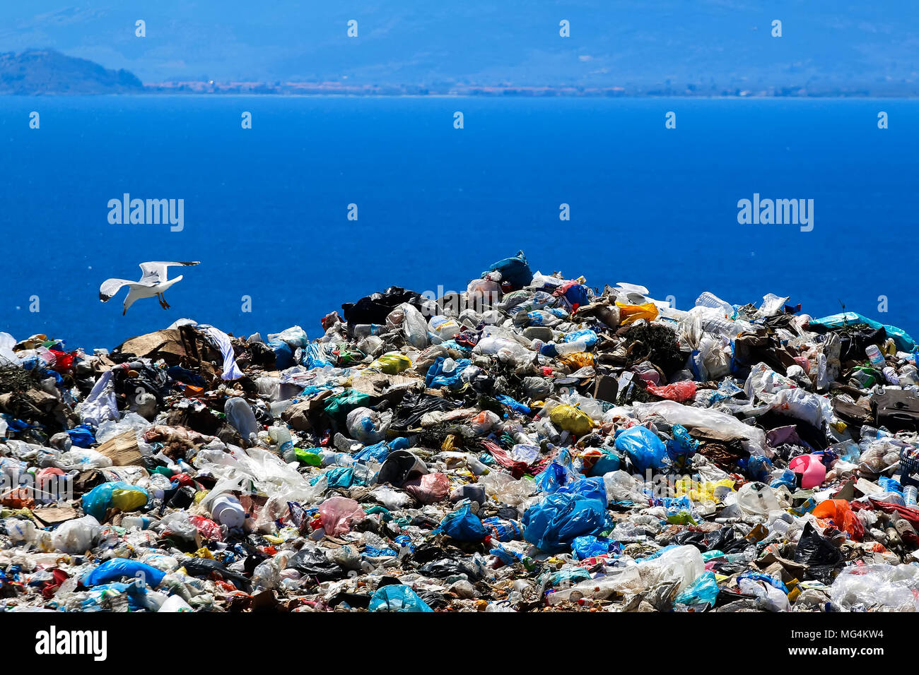 Deponie mit Möwen Spülsystem für Lebensmittel Stockfoto