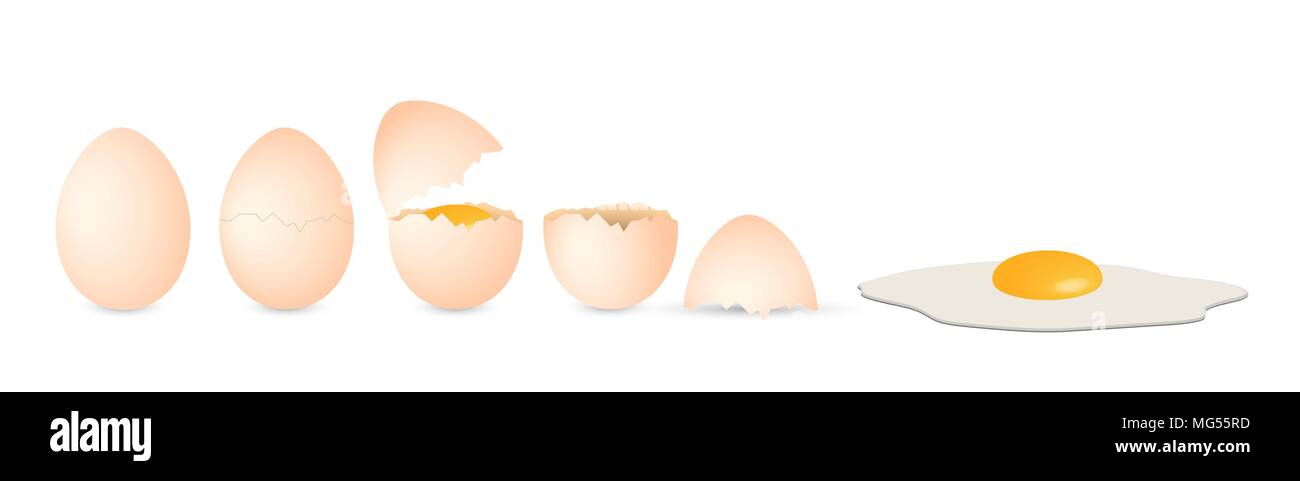 Kompletter Satz von Eiern: Ganz, gebrochen und öffnen Stock Vektor
