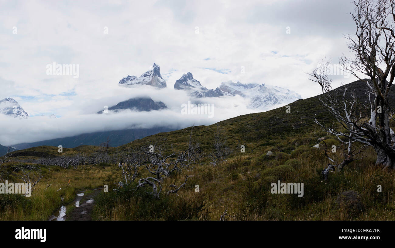 Cerro Paine Grande und Berge inmitten der Wolken. Panorama. Weite Einstellung. Stockfoto