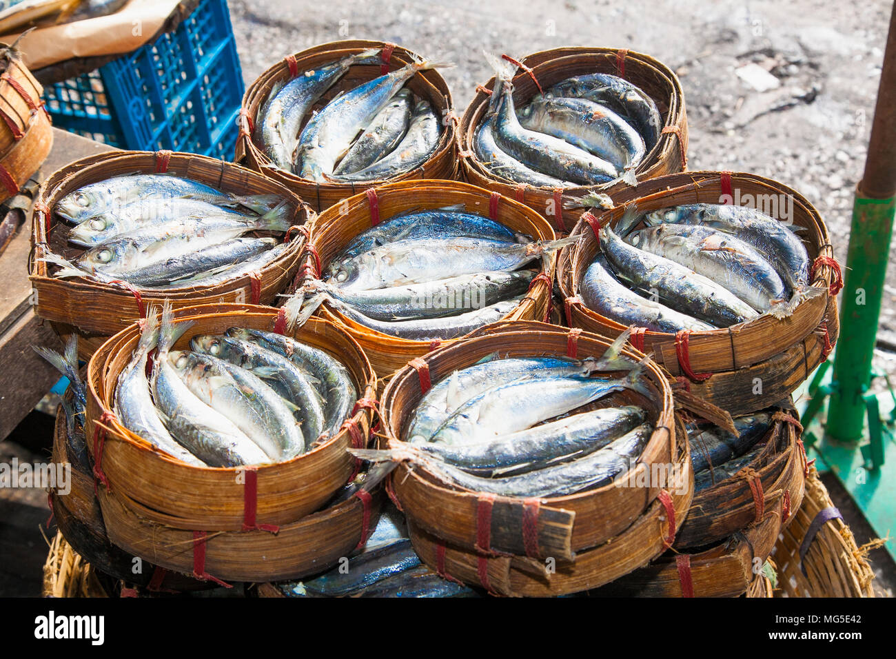 Makrele Fisch in Bambus Korb am Markt können Sie es in jedem Markt finden, wenn Sie in Thailand sind. Stockfoto