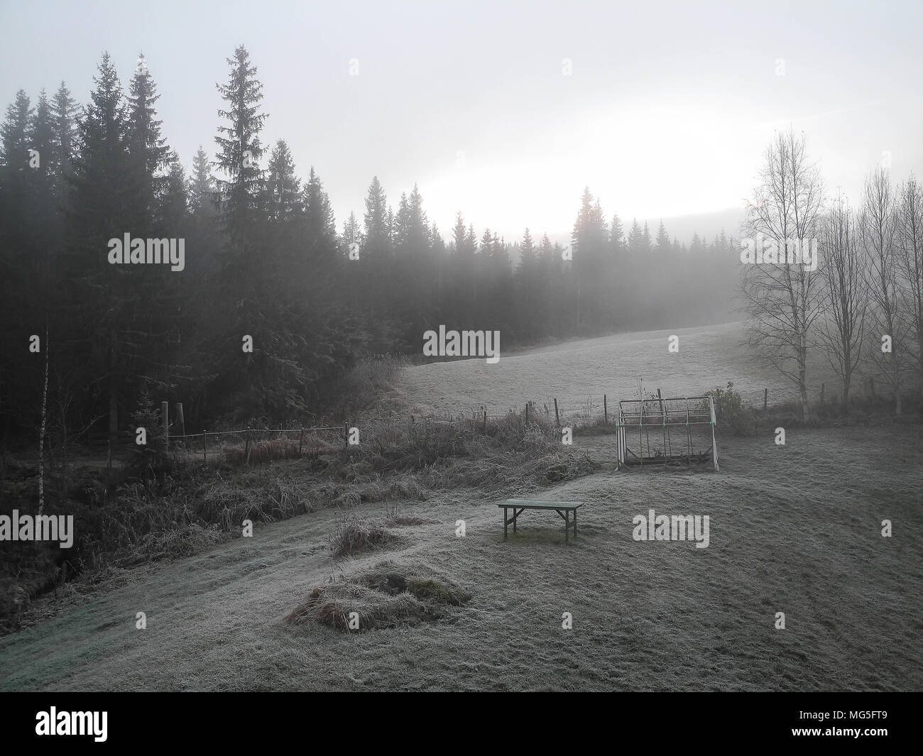 Frosted und misty Natur Landschaft mit copy-Platz. Stockfoto