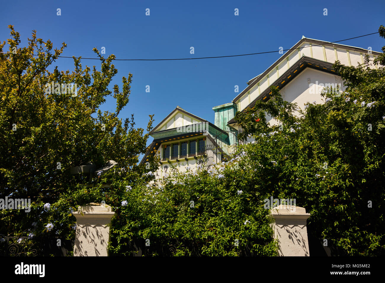 Grüne grünen Garten bäume mit der oberen Stockwerke der Häuser peeking von oben. Niedrigen Winkel. Stockfoto