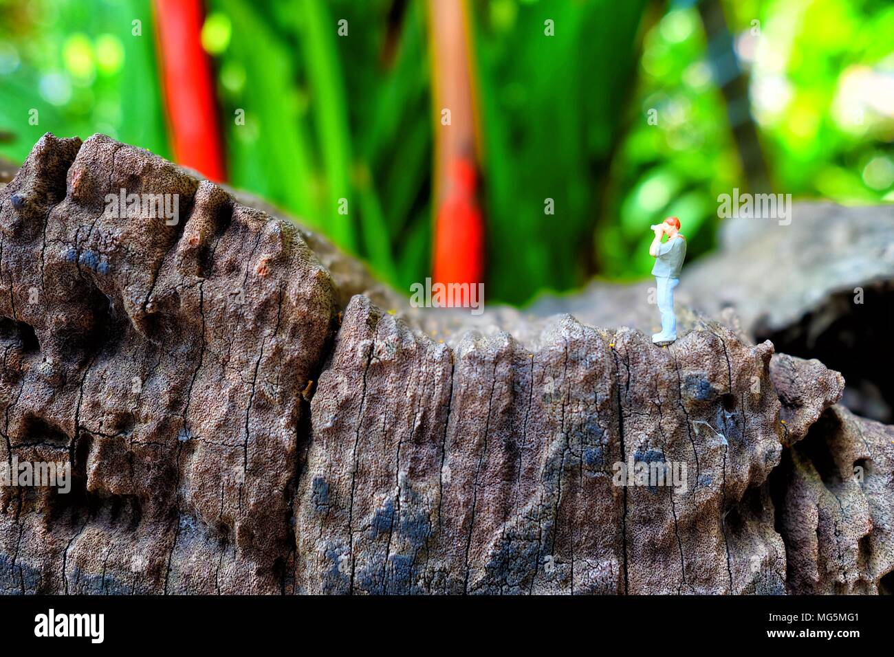 Miniatur Abbildung Fotograf mit Green Park Hintergrund. Stockfoto