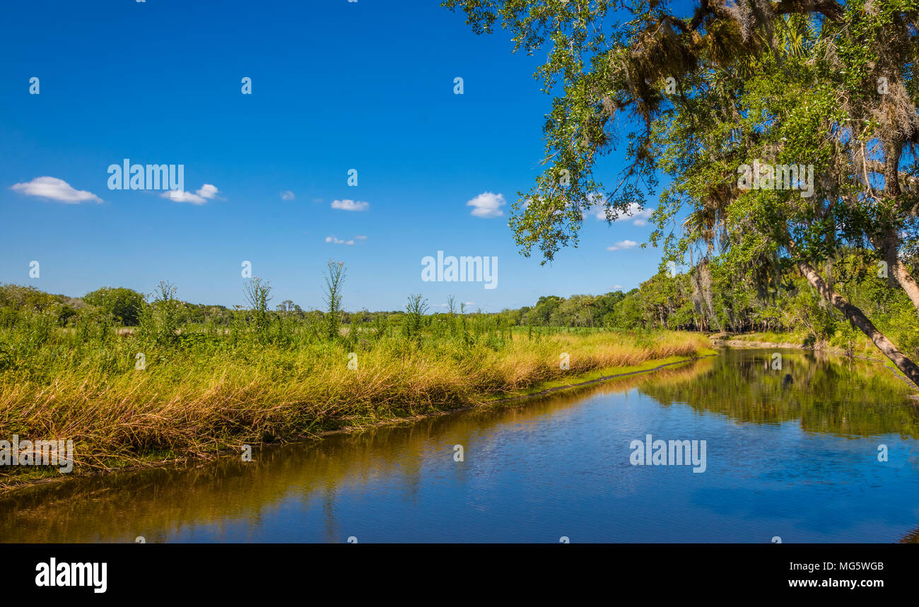 Myakka River im Myakka River State Park in Sarasota Florida Stockfoto