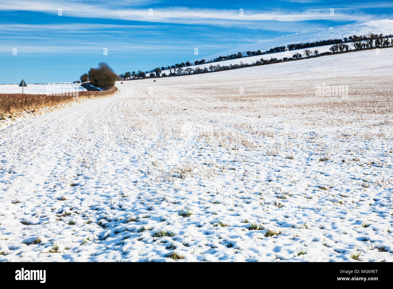 Ein wintermorgen auf der Tiefen in Wiltshire. Stockfoto