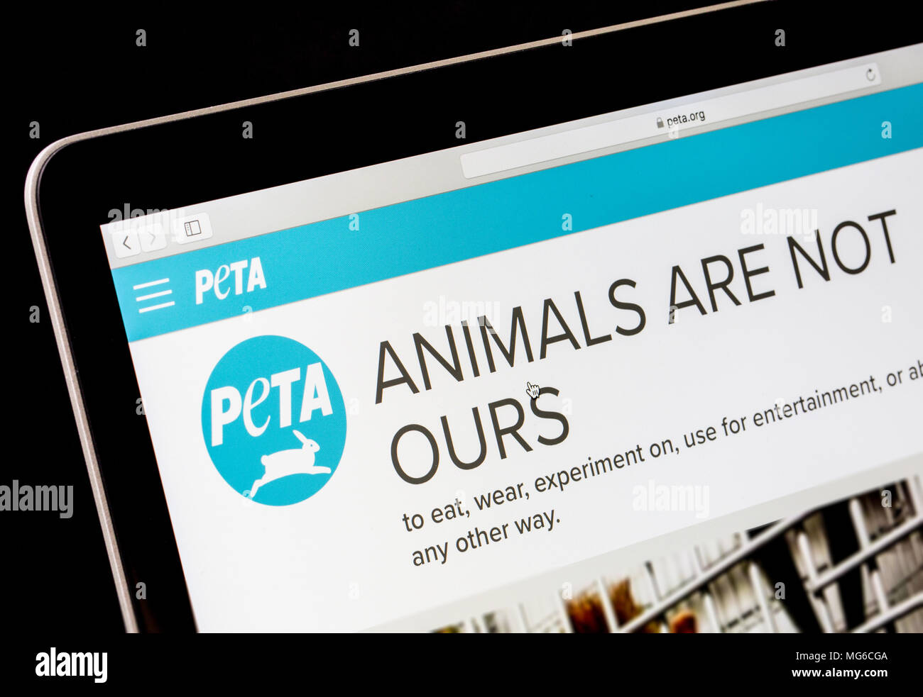PETA (Menschen für die ethische Behandlung von Tieren) Website auf einem Laptop. Stockfoto