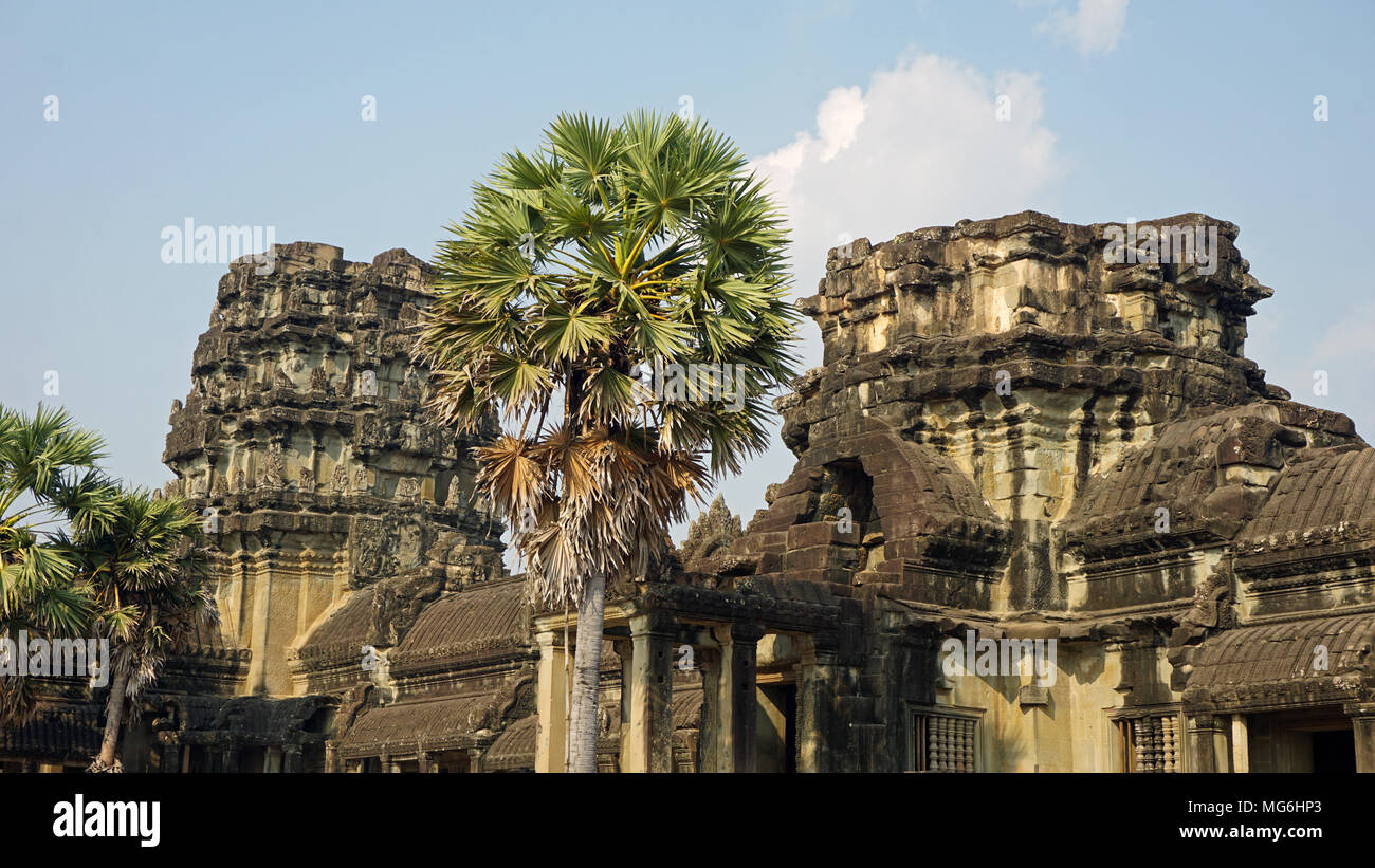 Tempel Angkor Wat in Kambodscha am frühen Nachmittag Stockfoto