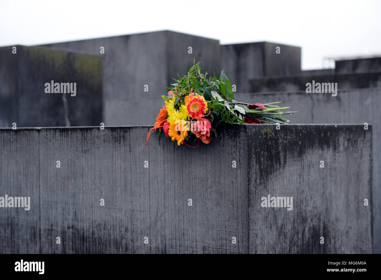 Helle blumenstrauß Kontraste mit repressiven feuchten grauen Stein von Holocaust Mahnmal Berlin Deutschland Stockfoto