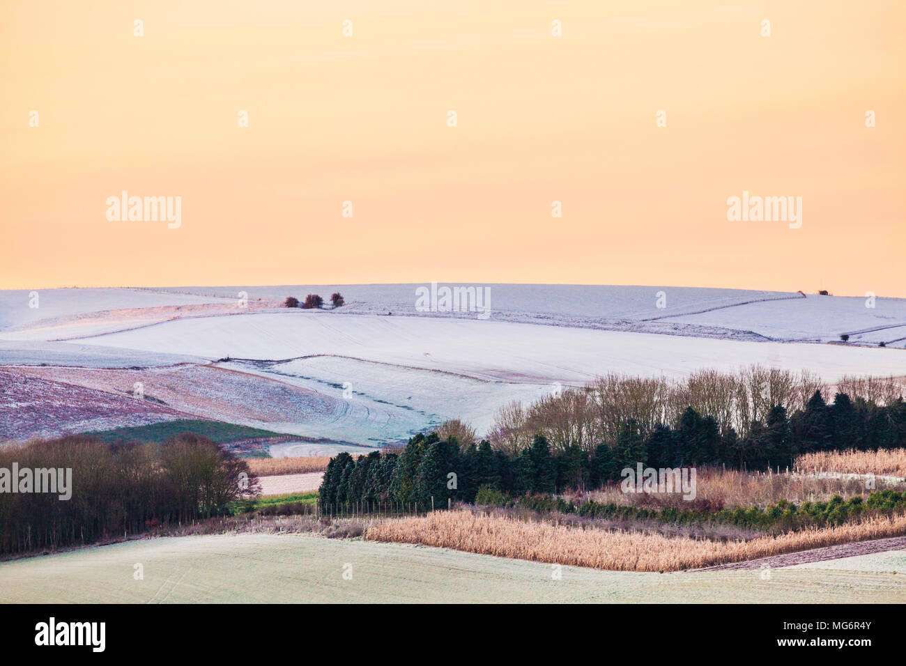Ein frostiger Morgen auf der Marlborough Downs in Wiltshire. Stockfoto