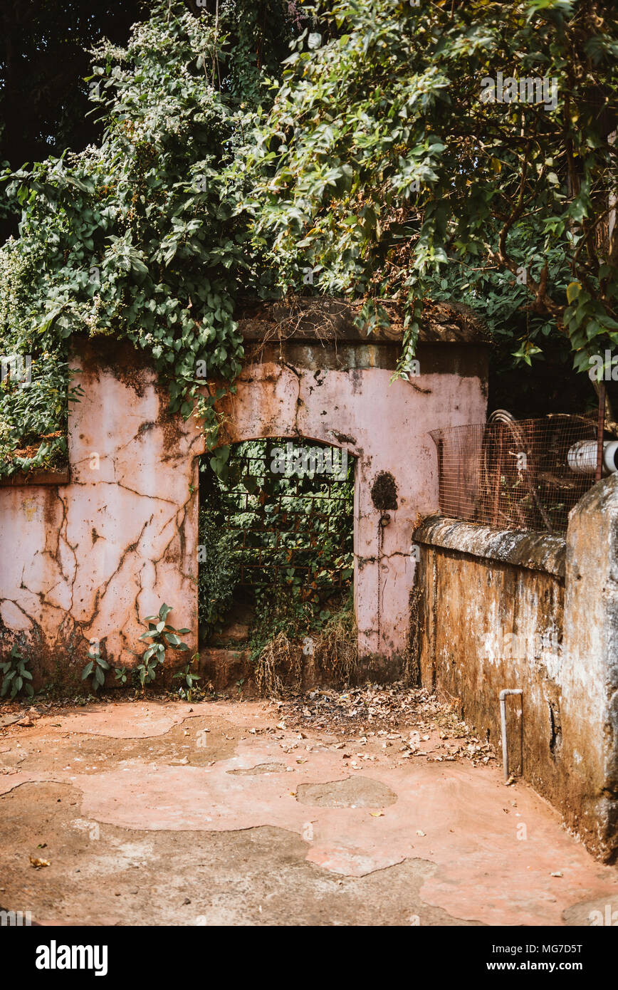 Ein rosa adobe Torbogen mit überwucherung und Pflanzen an einem sonnigen Tag in Goa, Indien Stockfoto