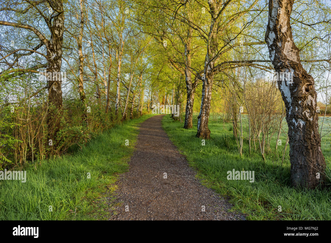 Terra Nova Terra Nova natürliche, ländliche Park, Richmond, British Columbia, Kanada. Stockfoto