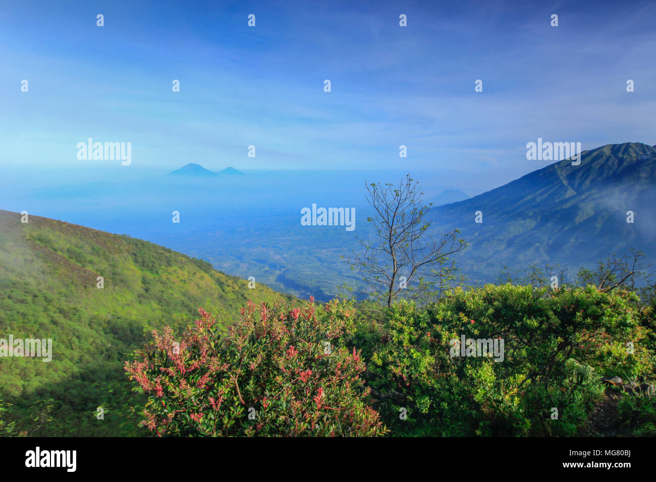 Mount Merbabu (Indonesisch: Gunung Merbabu) ist ein schlafendes Stratovulkan in Zentral-java Provinz auf der indonesischen Insel Java. Stockfoto