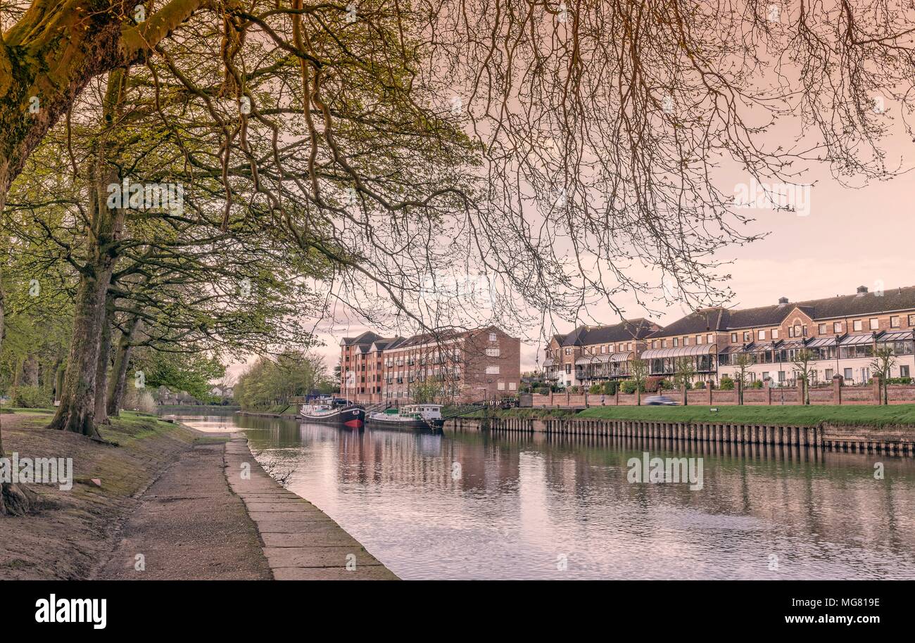 Pfad entlang des Flusses Ouse in York. Bäume in der Knospe Überhang und zwei Hausboote sind weiter den Fluss hinunter. Stockfoto