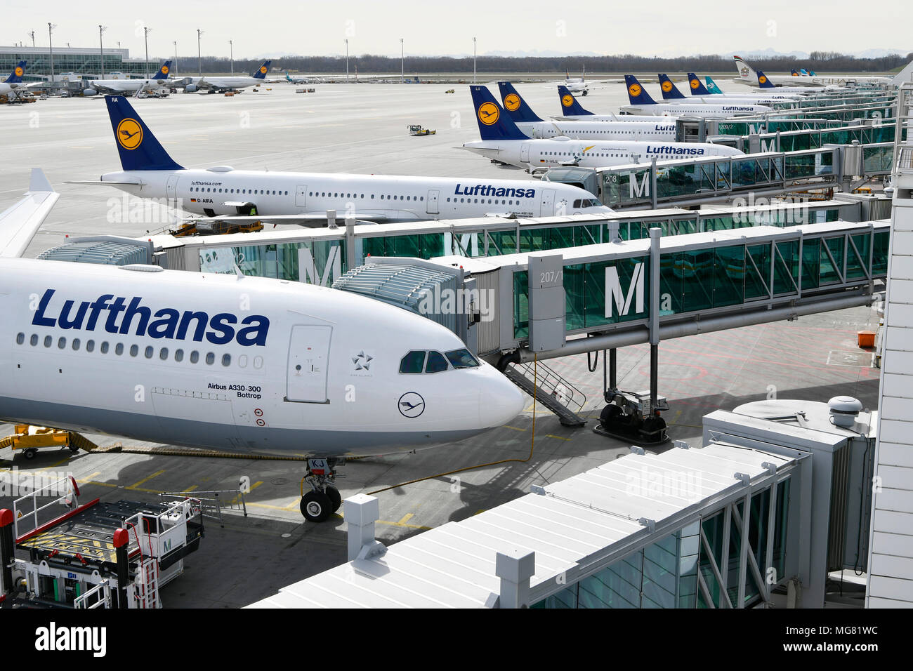 Lufthansa Line Up Terminal 2 Jetty Ubersicht M Cockpit Kabine Position Abstand Flugzeuge Flugzeug Flugzeug Flughafen Munchen Munchen Deutschland Stockfotografie Alamy