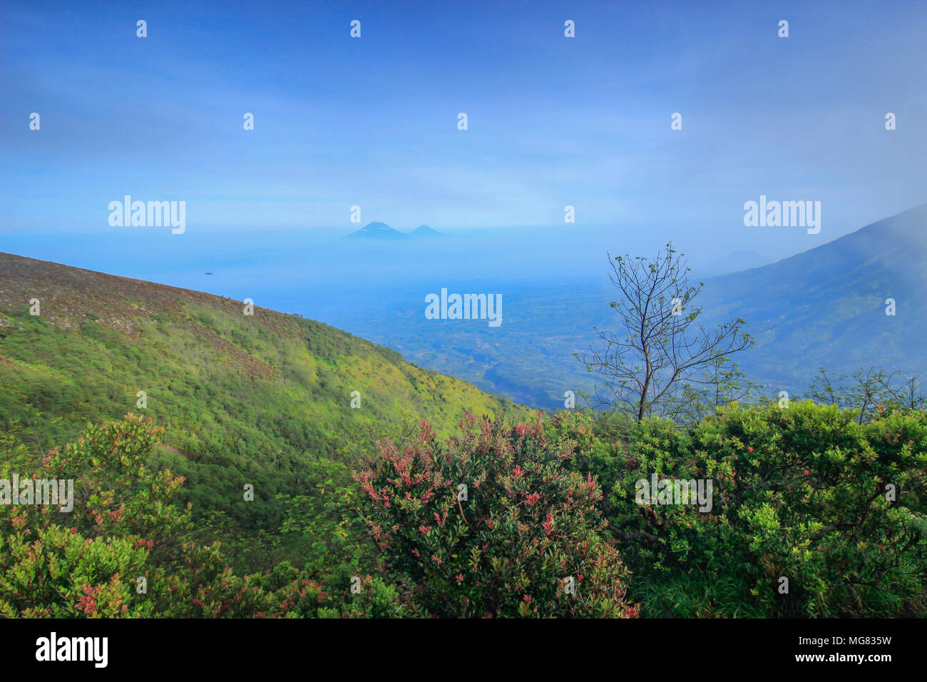 Mount Merbabu (Indonesisch: Gunung Merbabu) ist ein schlafendes Stratovulkan in Zentral-java Provinz auf der indonesischen Insel Java. Stockfoto