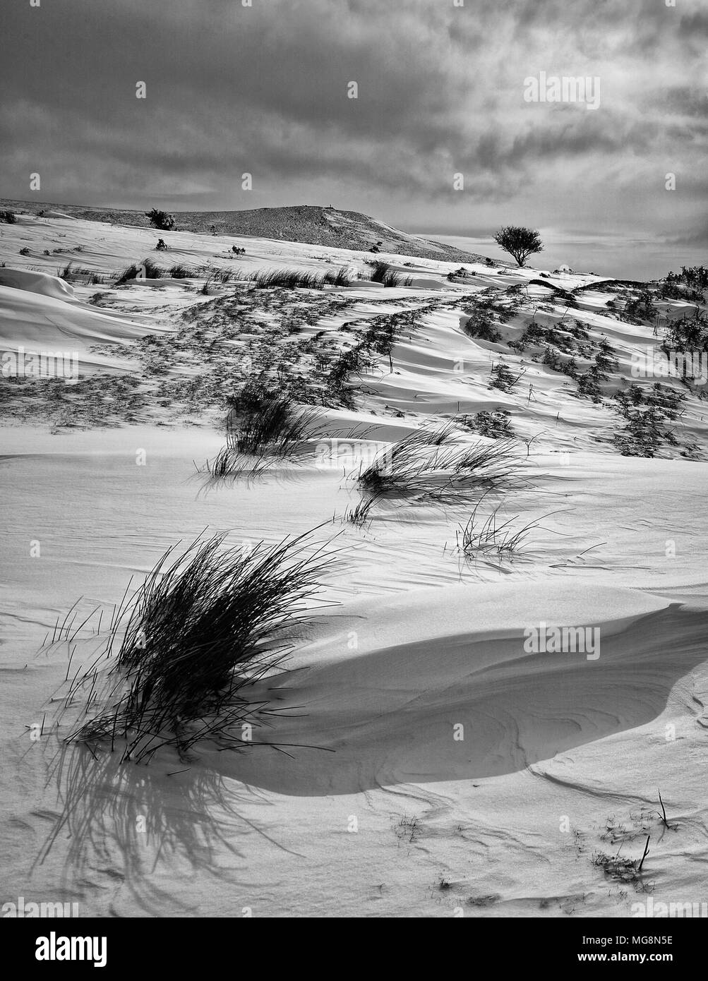Schnee auf Dartmoor, Großbritannien Stockfoto