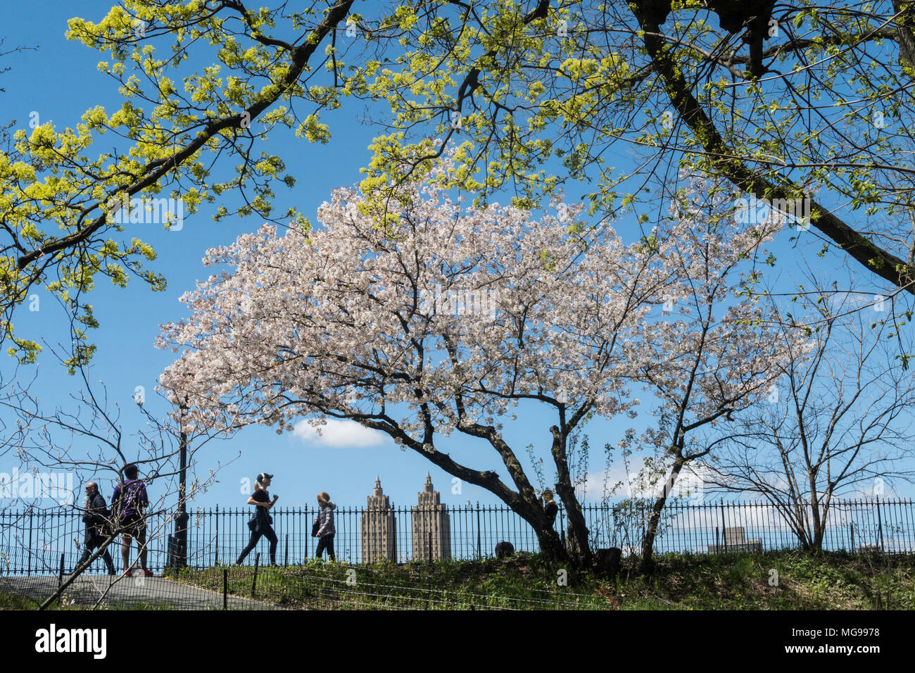 Die Menschen auf den Behälter Joggingpfad, Central Park, New York City, USA Stockfoto