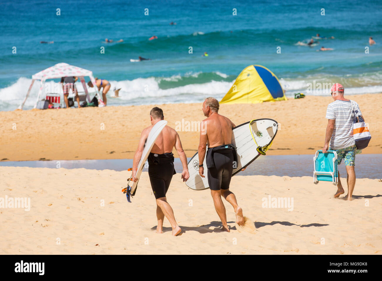 Australische Männer mittleren Alters, die ihre surfbretter auf Norden Curl Curl Beach in Sydney, Australien Stockfoto