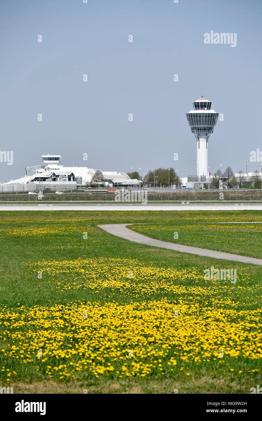 Blume, Grün, Natur, Flugzeuge, Flugzeug, Flugzeug, Übersicht, Aussicht, Panorama, Blume, Unkraut, Gras, Start, Nehmen, Roll-out, Flughafen München, Deutschland, Stockfoto