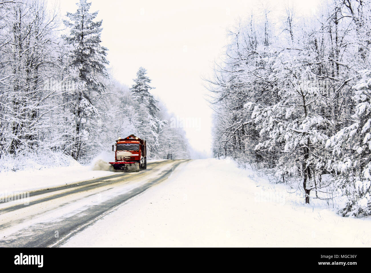 Schneegebläse entfernt Schnee auf der Straße durch den Wald gefegt Stockfoto