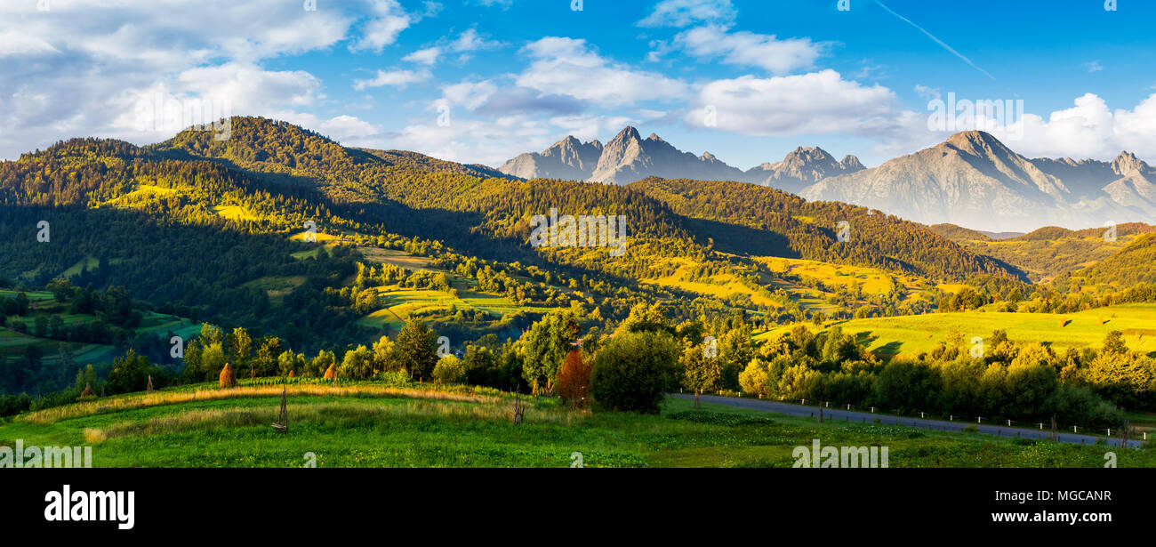 Gebirgiges Panorama der Landschaft bei Sonnenaufgang im Sommer. grasartige Felder im Morgenlicht. zusammengesetzte Bild mit Kamm der Hohen Tatra felsigen Gipfeln in der Stockfoto