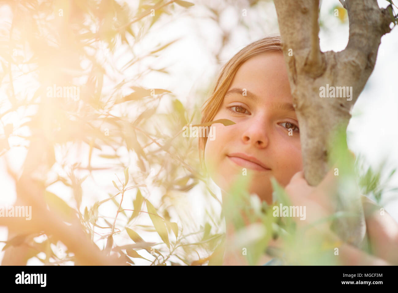 Kleines Mädchen und Olive Tree Stockfoto