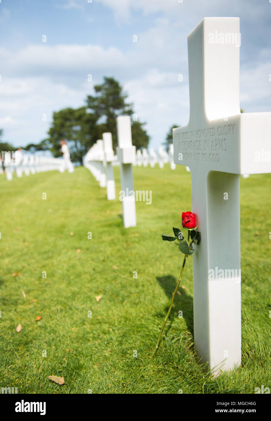 Eine einzelne Rose an einem Kreuz in einem britischen Soldatenfriedhof in der Normandie, Frankreich. Stockfoto
