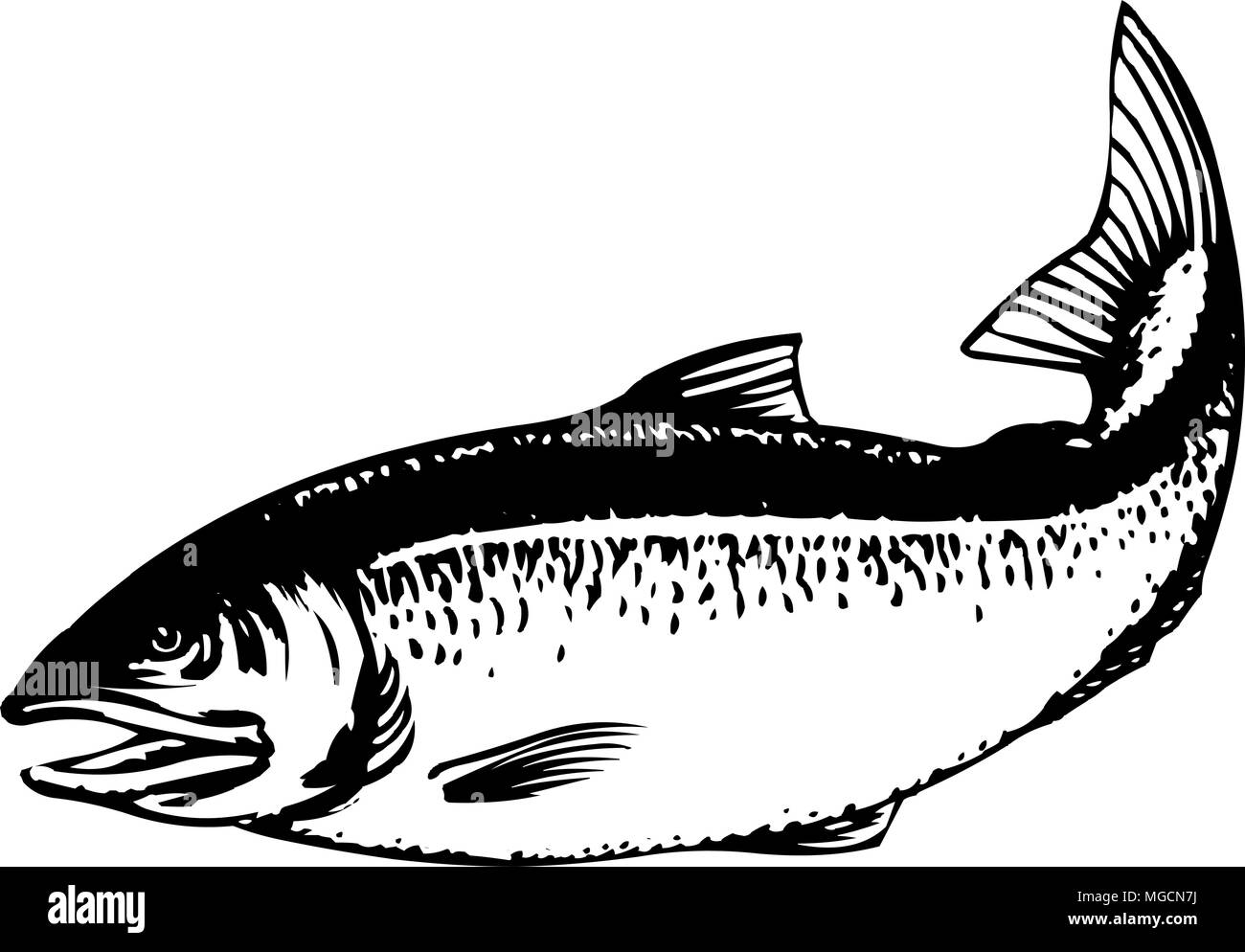 Lachs - Retro Clipart Illustration Stock Vektor