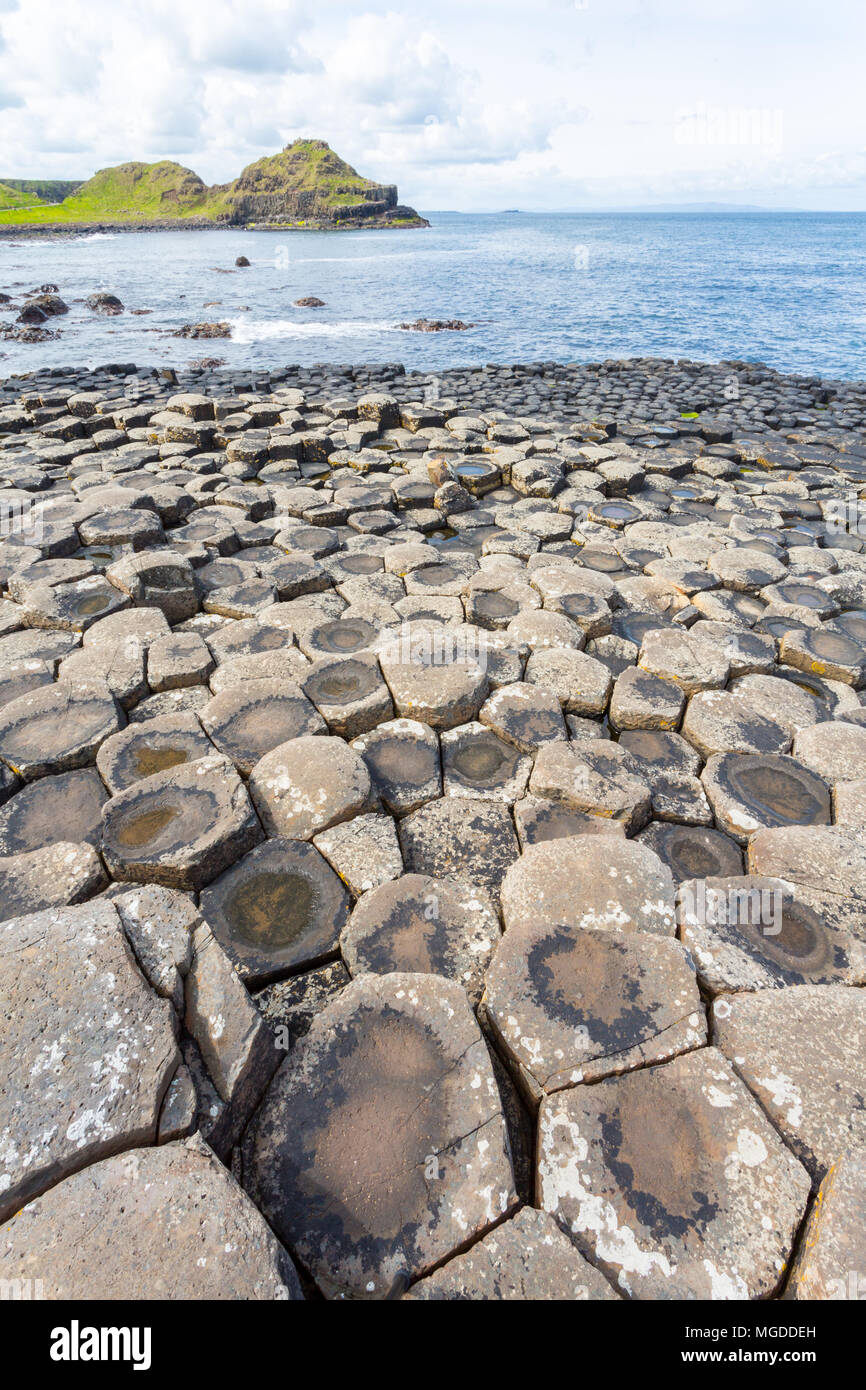 Antrim/N. Irland - 30. Mai 2015: Giant's Causeway, ein Wunder der Natur durch vulkanische, Sechskant basalt Rock ins Meer fließt. Antrim. Stockfoto
