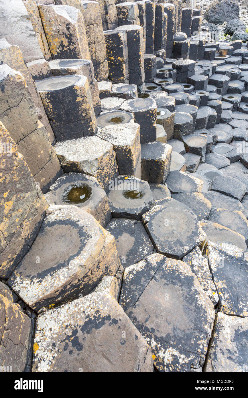Antrim/N. Irland - 30. Mai 2015: Giant's Causeway, ein Wunder der Natur durch vulkanische, Sechskant basalt Rock ins Meer fließt. Antrim. Stockfoto
