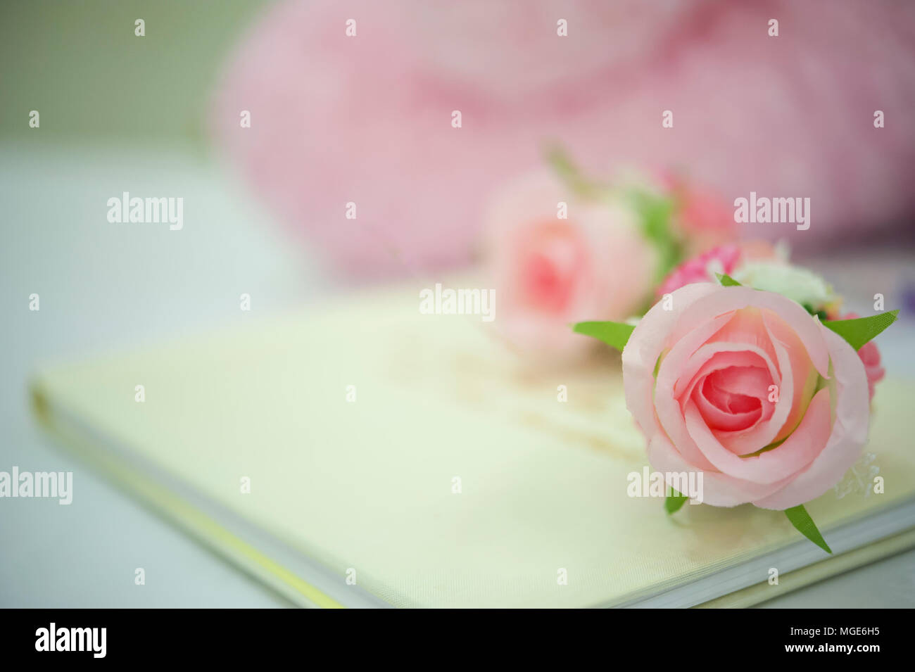 Gästebuch Hochzeit und rosa Rose Stockfoto