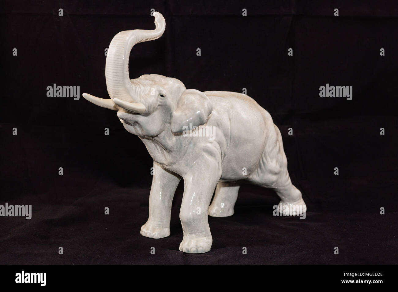 Linke Seite des Trompeten Hellgrau elephant Stockfoto