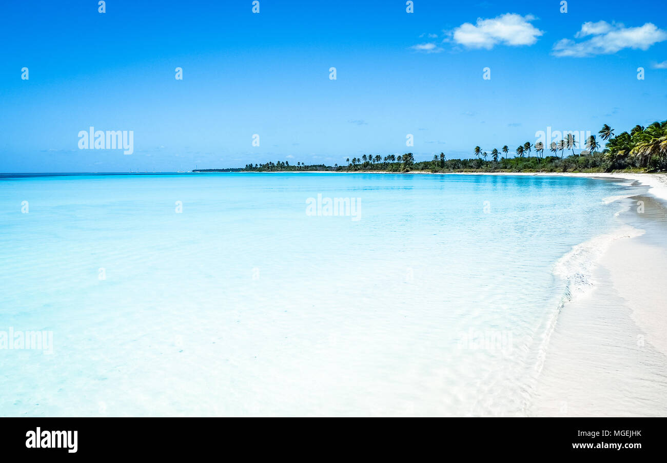 Frau, die in der Palme auf der karibischen Strand Stockfoto