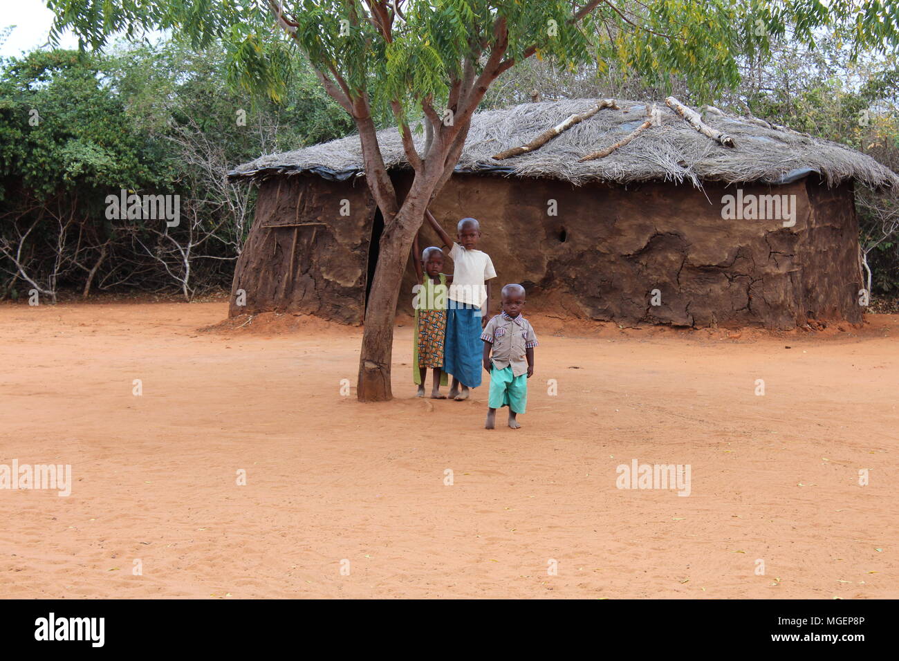 Lächelnd afrikanische Kinder unter einem Baum in einem kleinen afrikanischen Dorf dargestellt Stockfoto