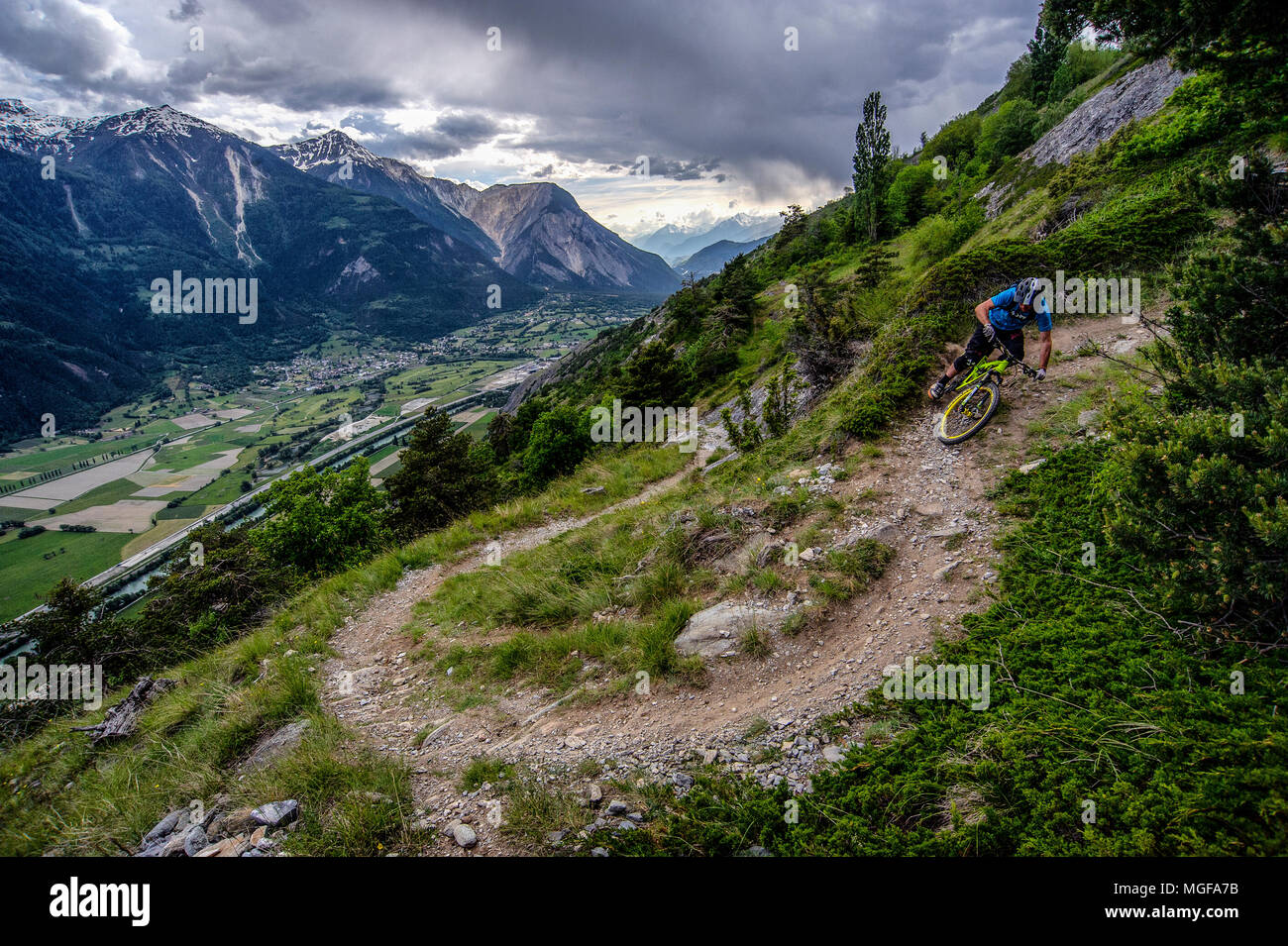 Ein Mann reitet ein Mountainbike hoch über dem Talboden in der Nähe der  Städte Gampel und Jeizinen im Wallis Fläche der Schweiz Stockfotografie -  Alamy