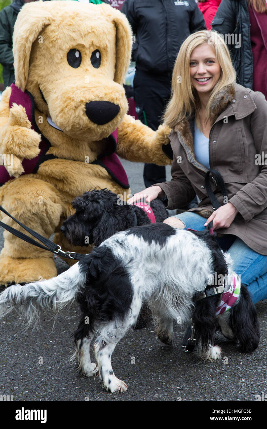 Windsor Great Park, UK. 28. April 2018. Die TV-Moderatorin Rachel Riley bereitet spaniel Ginny auf dem Großen Britischen Hund zu führen zugunsten der Anhörung Hunde für gehörlose Menschen im Windsor Great Park entfernt. Die Veranstaltung, ein Spaß liebe Hund gehen für alle Altersgruppen, die Kapital und das Bewusstsein für die Liebe, die Hunde Züge nicht nur zu helfen gehörlose Menschen ein erfülltes Leben durch permanente, lebenslange Begleitung führen, sondern auch die Geräusche wie Rauchmelder, Türklingeln, Backofen Timer und Wecker aufmerksam zu machen. Credit: Mark Kerrison/Alamy leben Nachrichten Stockfoto